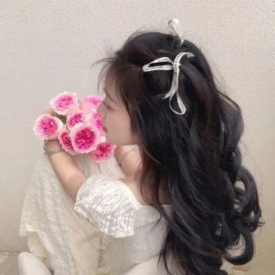 重鸟